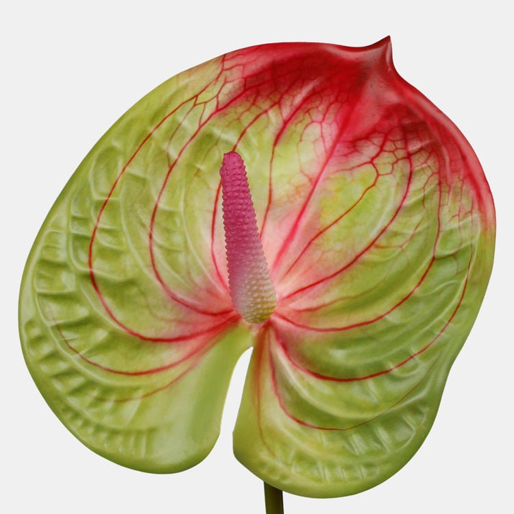 Anthurium tekokukka vihreä-punainen 62 cm - Tekokukat