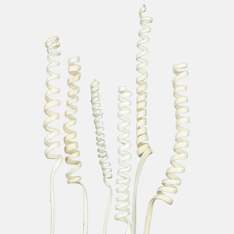 Valkaistu cane kuivattu koristeoksa 30–35 cm - Tekokukat