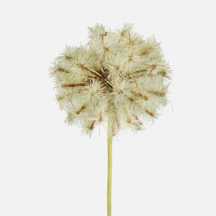 Ruskea voikukka tekokukka 50 cm - Tekokukat