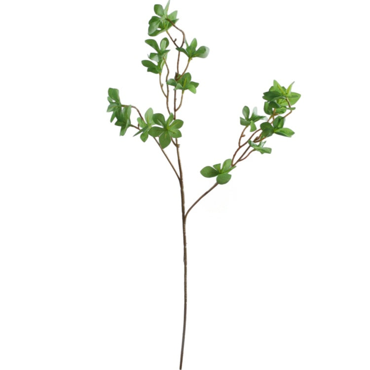 Roheline enkianthus kunsttaime oks 75 cm - Kunstlilled