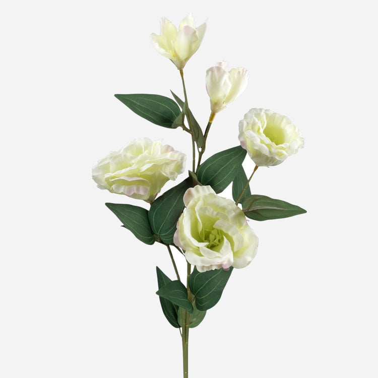 Heleroheline eustoma kunstlilleoks 70 cm - Kunstlilled