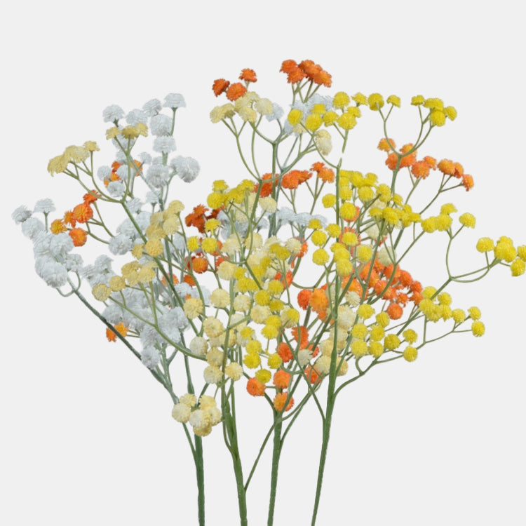 Leikkuugypsophila koristeoksa satunnainen väri 64 cm - Tekokukat