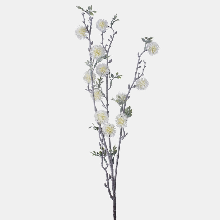 Valkoinen guzikowiec tekokukkaoksa 92 cm - Tekokukat