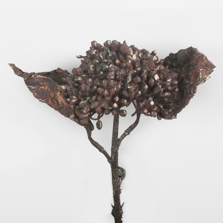 Burgundia lumekera kunstlilleoks 30 cm - Kunstlilled