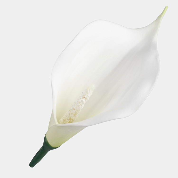 Mini kalla tekokukan pää kermanvärinen 13 cm - Tekokukat