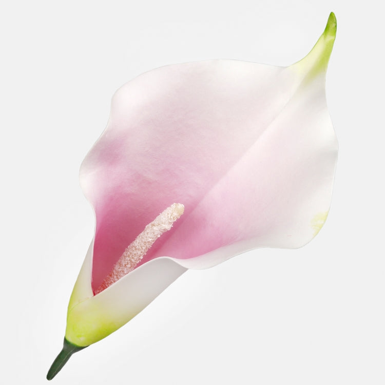 Kalla kunstlillepea helelilla-kreem 20 cm - Kunstlilled