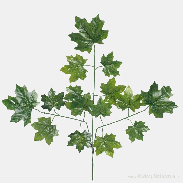 Vaahteranoksa vihreä 64 cm - Tekokukat