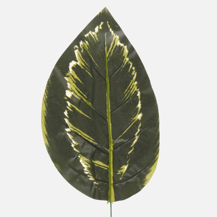 Diefenbachia tekolehti vihreä 50 cm - Tekokukat