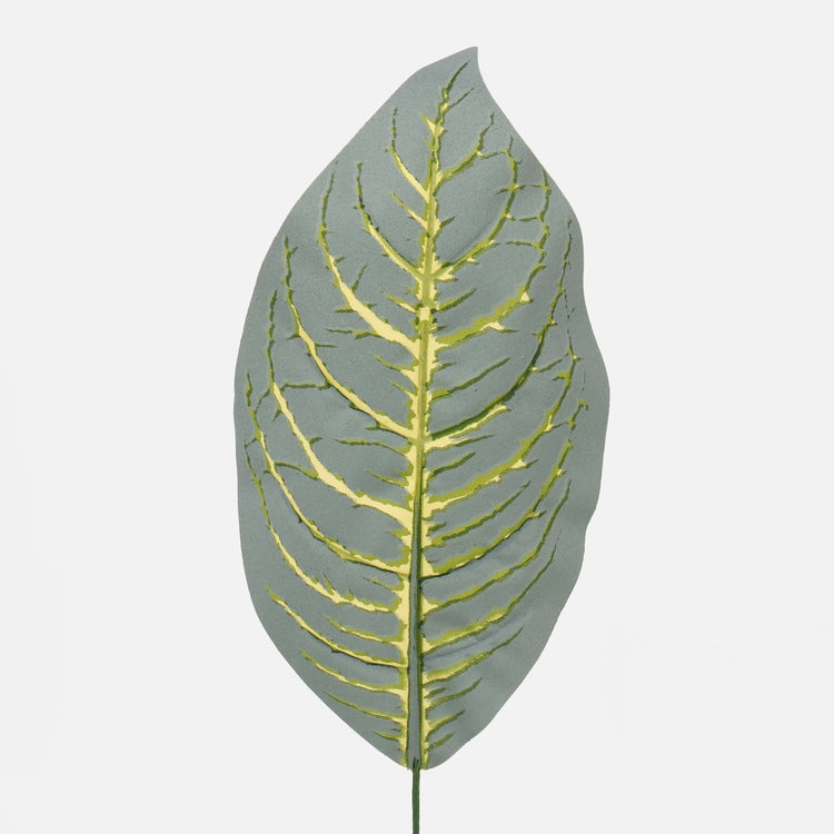 Diefenbachia tekolehti vihreä 44 cm - Tekokukat