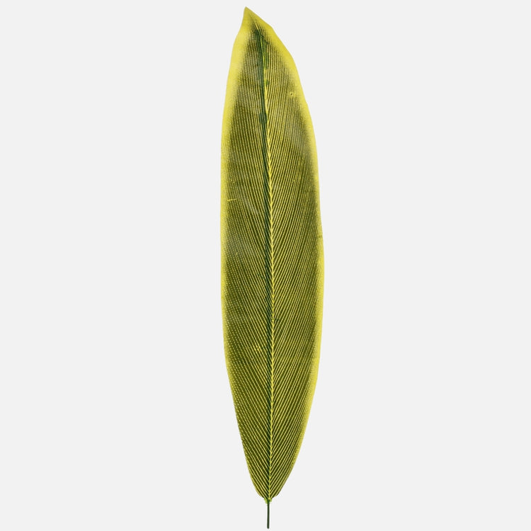 Sansevieria teko-lehti vihreä-keltainen 61 cm - Tekokukat
