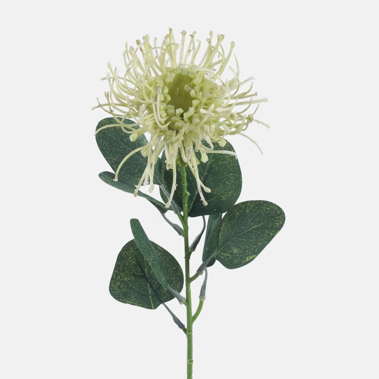 Kreemivärvi Protea kunstlill 45 cm - Kunstlilled