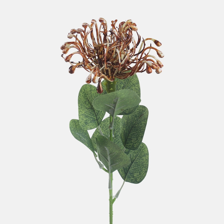 Pruun Protea kunstlill 45 cm - Kunstlilled