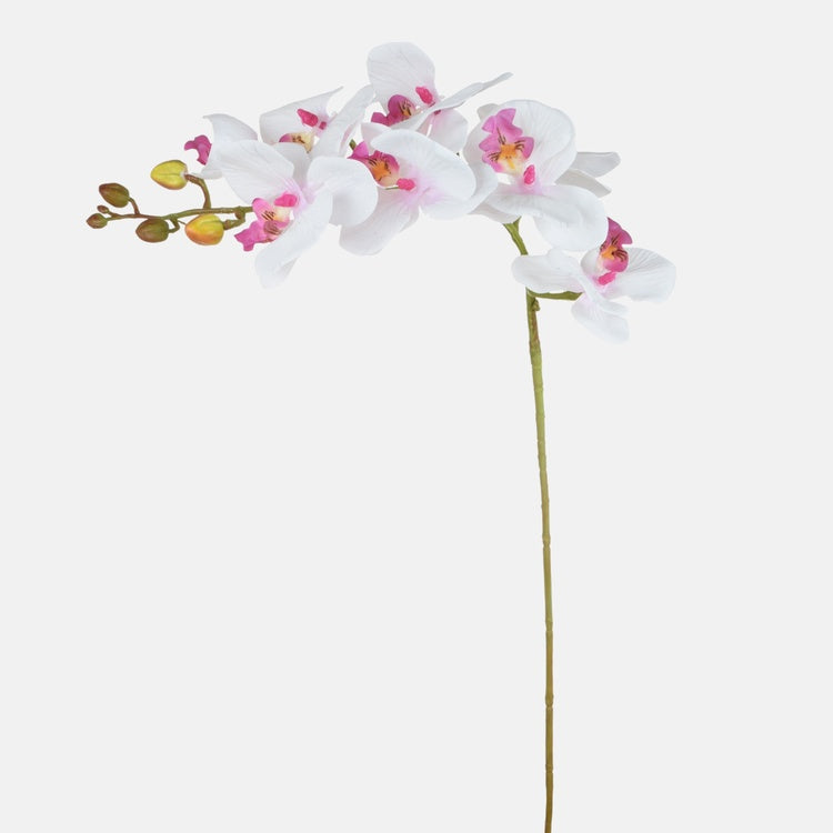 Valge-lilla orhidee kunstlill 79 cm - Kunstlilled