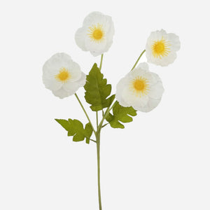 Valkoinen