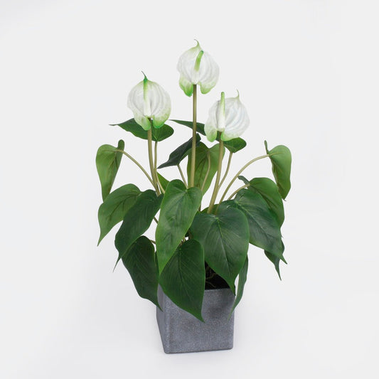 Valkoinen anthurium tekokasvi ruukussa 42 cm - Tekokukat