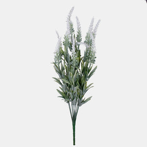 Valge/Lavendel