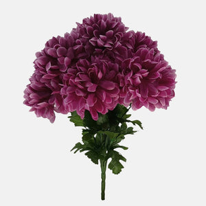 Violetti