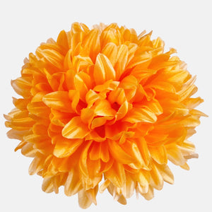 Oranž