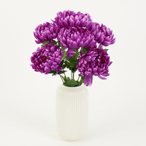Violetti