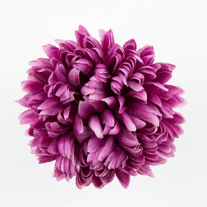 Violetti