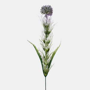 Violetti