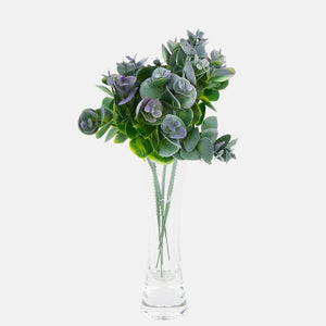 Violetti