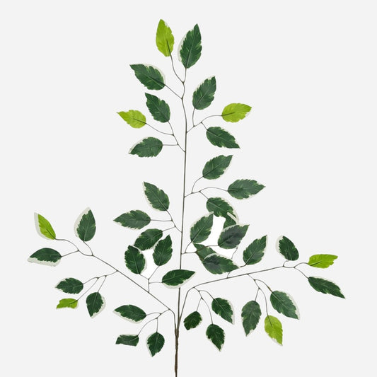 Vihreä-valkoreunainen fiikus tekokasvin oksa 61 cm - Tekokukat