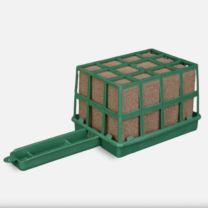 Roheline kuivlillede käsn ja hoidik 23 cm - Kunstlilled