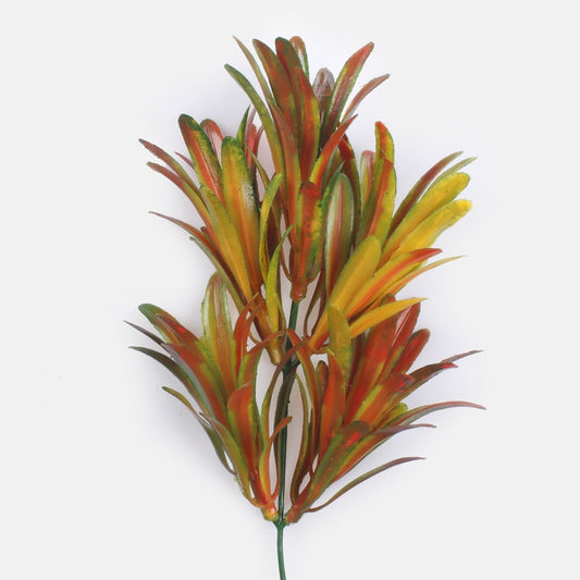 Dracaena oksa syksy - Tekokukat