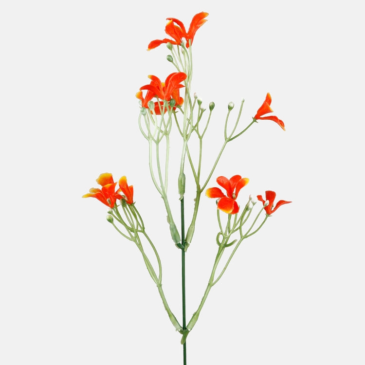 Oranž nemesia dekoratiivne oks 33 cm - Kunstlilled