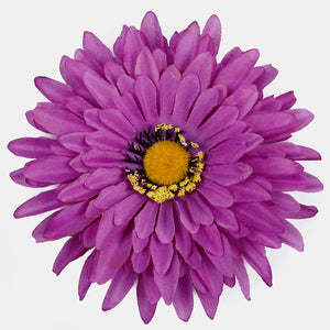 Violetti