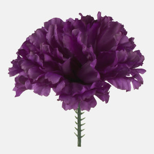 Tummanvioletti