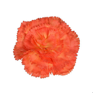 Rot/Gelb