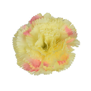 Gelb/Rosa
