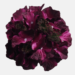 Violetti