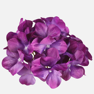 Violetti