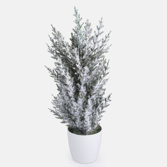 Lumega kaetud kadakas kunsttaim 30 cm - Kunstlilled
