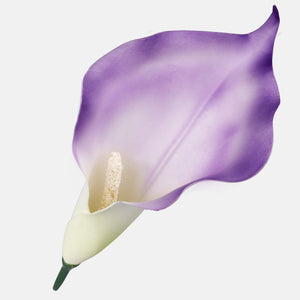Violetti