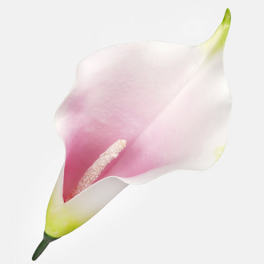 Kalla tekokukan pää vaaleanvioletti-kermanvärinen 20 cm - Tekokukat