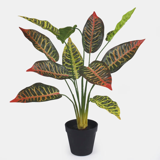 Croton tehistaim rohekaspunane 49 cm - Kunstlilled