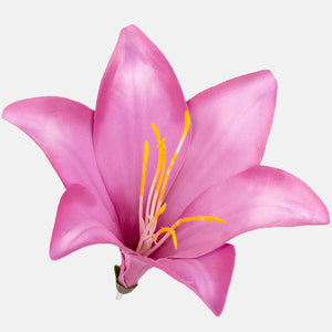 Malva