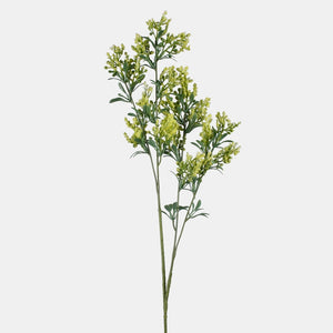 Roheline