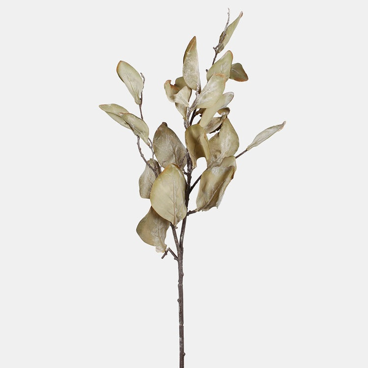 Vihreä magnolia teko-oksa 80 cm - Tekokukat