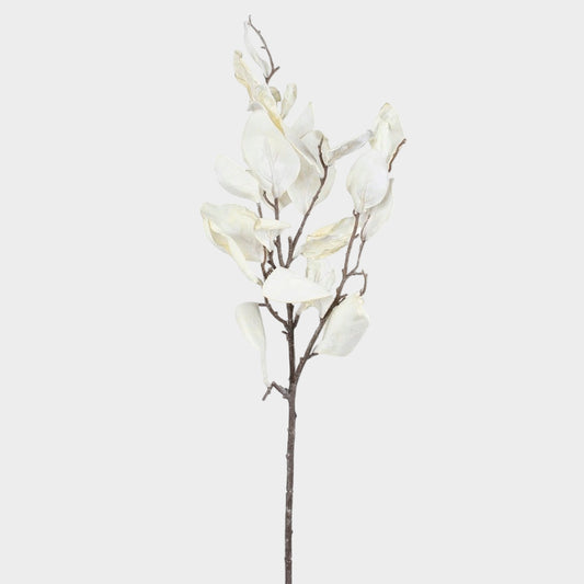 Kreemjas magnoolia oks 80 cm - Kunstlilled