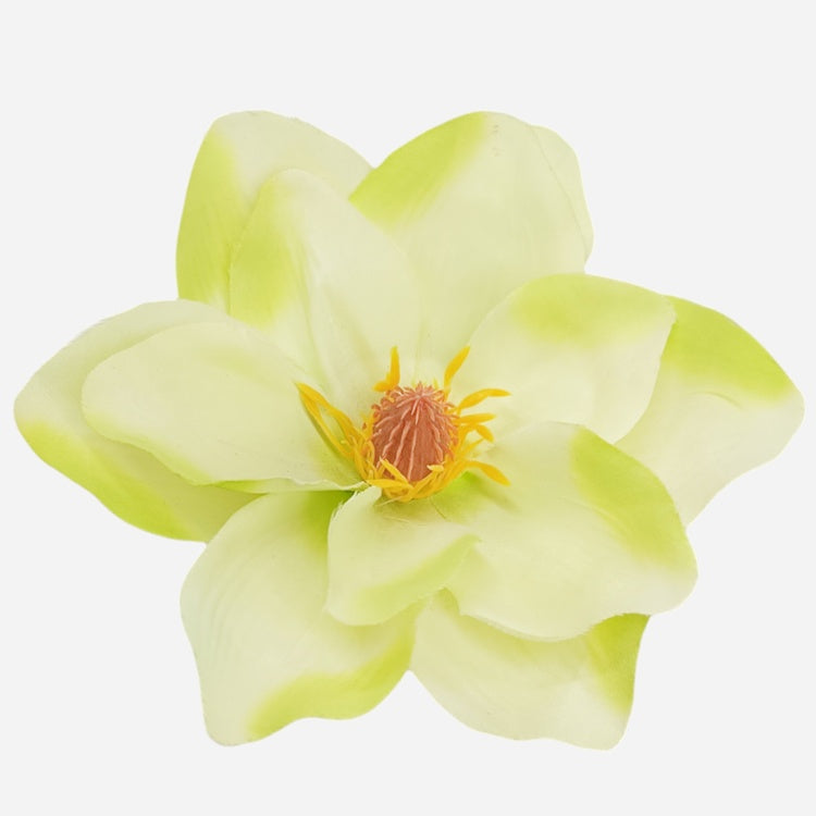 Kreemivärviline magnoolia kunstlillepea Ø17 cm - Kunstlilled