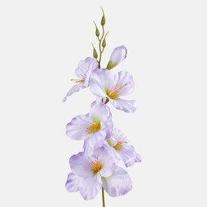 Vaaleanliila