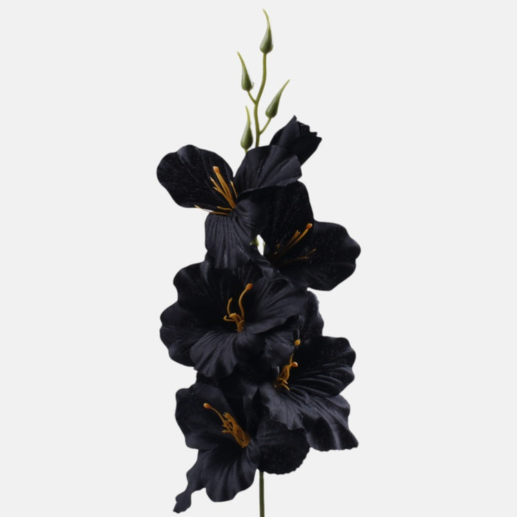 Musta satiinimiekkaeli tekokukka 55 cm - Tekokukat