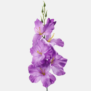 Violetti