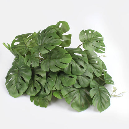 Grön monstera Thai