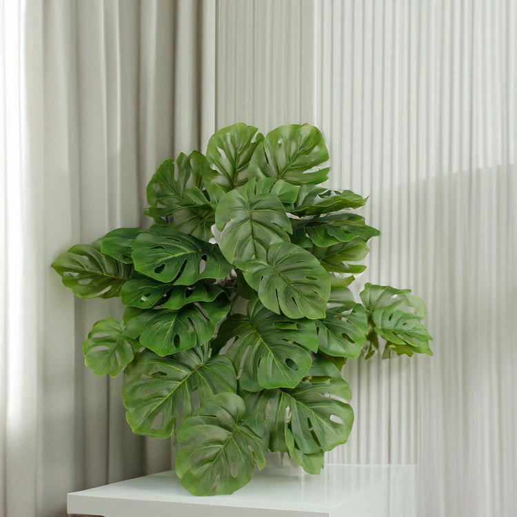 Grön monstera Thai